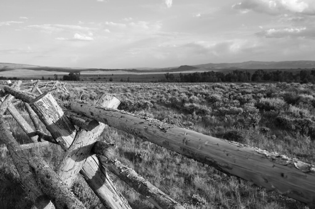 Landscape photography: Black and white photo of horse range